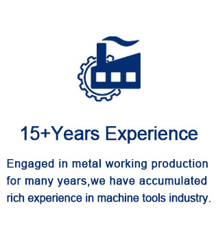 15+ Years Experience
